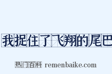 我捉住了飞翔的尾巴是什么意思的图片